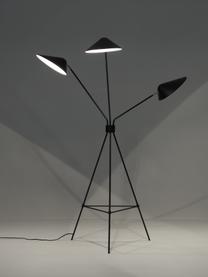 Grote tripod vloerlamp Neron met goudkleurige decoratie, Lampenkap: gepoedercoat metaal, Decoratie: vermessingd metaal, Zwart, B 103 x H 170 cm
