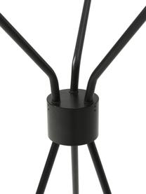 Grote tripod vloerlamp Neron met goudkleurige decoratie, Lampenkap: gepoedercoat metaal, Decoratie: vermessingd metaal, Zwart, B 103 x H 170 cm