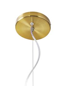 Suspension en verre Amora, Couleur champagne, couleur laitonnée, Ø 35 x haut. 20 cm