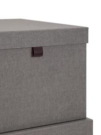 Set de cajas Tristan, 2 pzas., Caja: cartón laminado, Gris, Set de diferentes tamaños