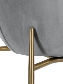 Silla de terciopelo Tess, Tapizado: terciopelo (poliéster) Al, Patas: metal con pintura en polv, Terciopelo gris, dorado, An 49 x F 64 cm