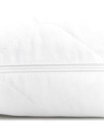 Relleno de cojín de microfibras Premium Sia, 50x50, Funda: 100% poliéster acolchado, Blanco, An 50 x L 50