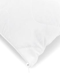 Garnissage de coussin en microfibre Premium Sia, 50x50, Blanc, larg. 50 x long. 50 cm