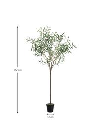 Ručně vyrobená umělá rostlina Olive Tree, V 172 cm, Umělá hmota, Zelená, Ø 100 cm, V 170 cm