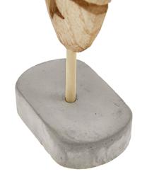 Decoratieve objectenset Blatt, 3-delig, Voetstuk: beton, Voetstuk: grijs. Decoratief object: paulowniahoutkleurig, Set met verschillende formaten