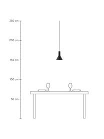 Petite suspension design Lyss, Noir, Ø 18 x haut. 23 cm