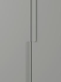 Modulaire draaideurkast Leon, 100 cm breed, diverse varianten, Frame: spaanplaat, FSC-gecertifi, Grijs, Basis interieur, hoogte 200 cm