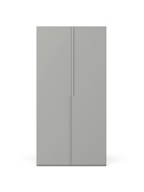 Modulaire draaideurkast Leon, 100 cm breed, diverse varianten, Frame: spaanplaat, FSC-gecertifi, Grijs, Basis interieur, hoogte 200 cm