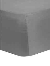 Spannbettlaken Comfort, Baumwollsatin, Webart: Satin, Dunkelgrau, B 90 x L 200 cm