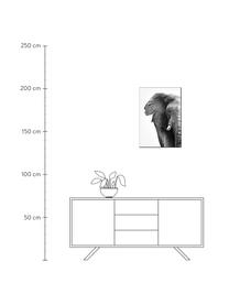 Gerahmter Digitaldruck White Elephant, Bild: Digitaldruck auf Papier (, Rahmen: Hochdichte Holzfaserplatt, Schwarz, Weiß, B 30 x H 40 cm