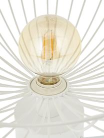 Große Decken- und Wandleuchte Ray, Lampenschirm: Metall, Weiß, Ø 60 x H 20 cm