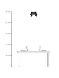 Faretti da soffitto piccoli Etna, Paralume: acciaio verniciato, Baldacchino: acciaio verniciato, Nero, Larg. 25 x Alt. 15 cm