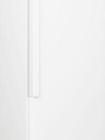 Modulaire draaideurkast Leon, 50 cm breed, diverse varianten, Frame: spaanplaat, FSC-gecertifi, Wit, Basis interieur, B 50 x H 200 cm