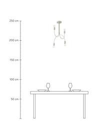 Plafonnier Bea, Beige, larg. 49 x haut. 69 cm