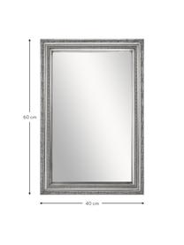 Barock-Wandspiegel Muriel, Rahmen: Massivholz, beschichtet, Rückseite: Mitteldichte Holzfaserpla, Spiegelfläche: Spiegelglas, Silber, B 40 x H 60 cm