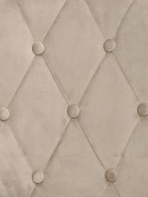 Sedia imbottita in velluto Alberton 2 pz, Rivestimento: 100% velluto di poliester, Gambe: metallo verniciato, Velluto beige, nero, Larg. 49 x Prof. 55 cm