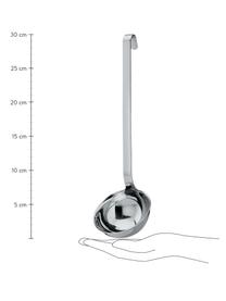 Louche en acier inoxydable Hook, Acier inoxydable 18/10, Couleur argentée, mat, long. 30 cm