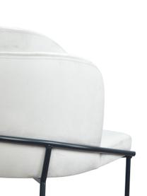 Sedia imbottita in velluto Polly, Rivestimento: velluto (100% poliestere), Gambe: metallo, Velluto bianco crema, nero, Larg. 57 x Prof. 55 cm