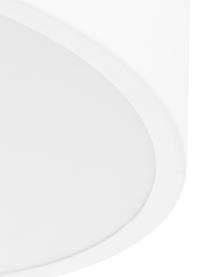Plafoniera stile nordico in metallo Ole, Paralume: metallo verniciato a polv, Baldacchino: metallo verniciato a polv, Disco diffusore: acrilico, Bianco opaco, Ø 35 x Alt. 18 cm