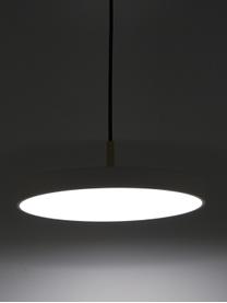 Design LED-Pendelleuchte Asteria, Lampenschirm: Aluminium, lackiert, Dekor: Stahl, lackiert, Perlweiß, Goldfarben, Ø 31 x H 14 cm