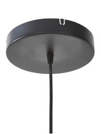 Design LED-Pendelleuchte Asteria, Lampenschirm: Aluminium, lackiert, Dekor: Stahl, lackiert, Perlweiß, Goldfarben, Ø 31 x H 14 cm