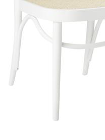 Chaise en cannage Franz, Bois de hêtre blanc laqué, rotin, larg. 48 x haut. 89 cm