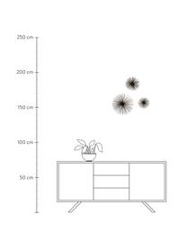 Déco murale oursin Spike, 3 élém., Métal, Noir, Lot de différentes tailles
