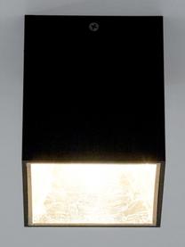 LED plafondspot Marty in zwart-goudkleur met antieke afwerking, Zwart, goudkleurig, B 10 x H 12 cm