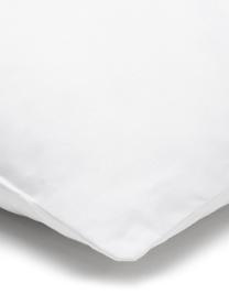 Kissen-Inlett Sia, Hülle: 100% Baumwolle, Weiß, B 40 x L 60 cm