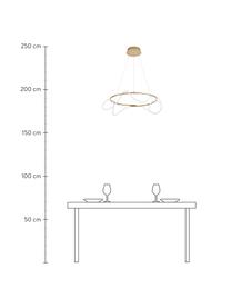 Grote LED hanglamp Tiriac, Lampenkap: acryl, Baldakijn: gecoat aluminium, Wit, goudkleurig, Ø 70 x H 120 cm