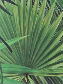 Tapeta Palm Leaves, Włóknina, przyjazna dla środowiska, biodegradowalna, Zielony, S 98 x D 280 cm