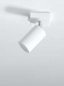 Spot orientable mur et plafond Etna, Blanc, larg. 8 x prof. 15 cm