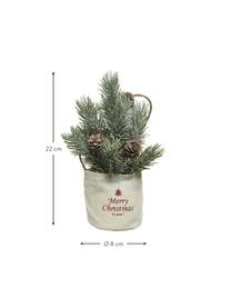Künstliche Mini-Weihnachtsbäume Mibam H 22 cm, 2 Stück, Beutel: Jute, Grün, Braun, Beige, Ø 8 x H 22 cm
