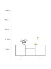 Tischlampe Grant, Lampenfuß: Messing, Lampenschirm: Opalglas, Messingfarben, Weiß, B 20 x H 41 cm