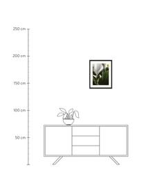 Ingelijste digitale print Palm Tree Leaves, Afbeelding: digitale print op papier,, Lijst: gelakt hout, Multicolour, B 43 cm x H 53 cm