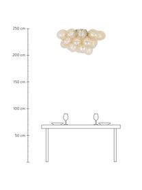 Plafón de vidrio Gross, Anclaje: níquel cromado, Ámbar, Ø 50 x Al 27 cm