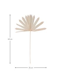 Palmblätter Flower Market, 4 Stück, Palmblätter, Beige, L 60 cm