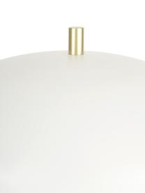 Tischlampe Mathea-Gold, Lampenschirm: Metall, pulverbeschichtet, Lampenfuß: Metall, vermessingt, Weiß, Messingfarben, Ø 23 x H 36 cm