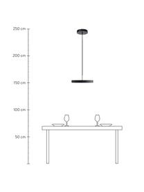 Lampada a sospensione a LED di design Asteria, Paralume: alluminio verniciato, Decorazione: acciaio verniciato, Antracite, dorato, Ø 31 x Alt. 14 cm