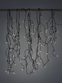 LED-Lichterkette Twinkle, warmweiß, Kunststoff, Schwarz, L 500 cm