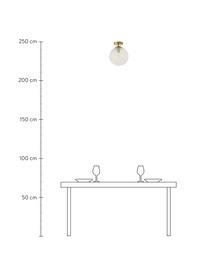 Kleine Deckenleuchte Lorna aus Glas, Lampenschirm: Glas, Baldachin: Metall, galvanisiert, Transparent, Goldfarben, Ø 25 x H 30 cm