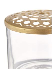 Set de jarrones pequeños con tapadera Kastanje, 2 pzas., Jarrón: vidrio, Jarrón: transparente Tapadera: latón, Set de diferentes tamaños