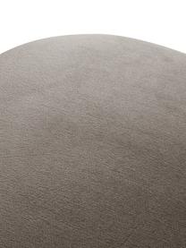 Fluwelen stoel Rachel, Bekleding: fluweel (100 % polyester), Poten: gepoedercoat metaal, Fluweel taupe, B 53  x D 57 cm