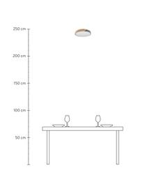 Kleine LED-Deckenleuchte Benoa mit Holzdekor, Lampenschirm: Eichenholz, Metall, Diffusorscheibe: Acryl, Eichenholz, Grau, Ø 30 x H 5 cm