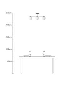 Stropná lampa z opálového skla Atlanta, Biela, čierna, Š 70 x V 28 cm