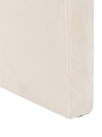 Panca moderna imbottita in velluto Penelope, Rivestimento: velluto (100% poliestere), Struttura: metallo compensato, Velluto bianco crema, Larg. 110 x Alt. 46 cm