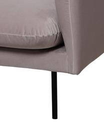 Sofá de terciopelo Moby (2 plazas), Tapizado: terciopelo (poliéster de , Estructura: madera de pino maciza, Patas: metal con pintura en polv, Terciopelo gris pardo, An 170 x F 95 cm