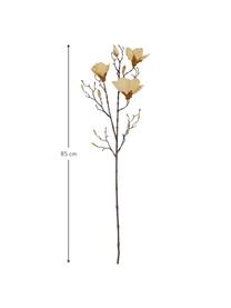 Kunstblume Magnolia, Kunststoff (PVC), Stahldraht, Beige, Braun, L 85 cm