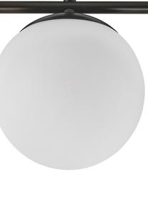 Plafondlamp Grant van opaalglas, Baldakijn: gecoat metaal, Wit, zwart, B 70 x H 30 cm