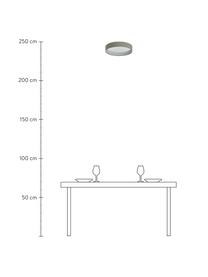 LED-Deckenleuchte Helen, Diffusorscheibe: Kunststoff, Olivgrün, Ø 52 x H 11 cm